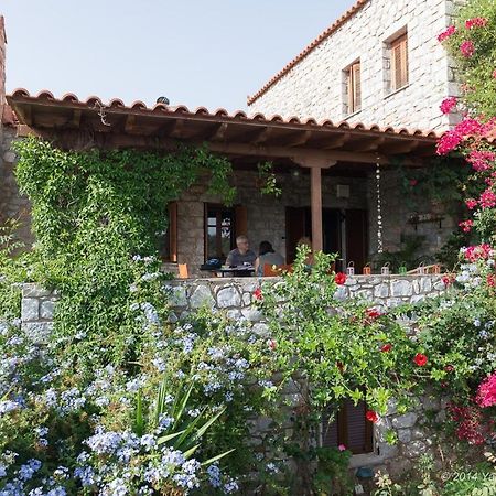 爱丽丝小屋度假屋 瓦西 外观 照片